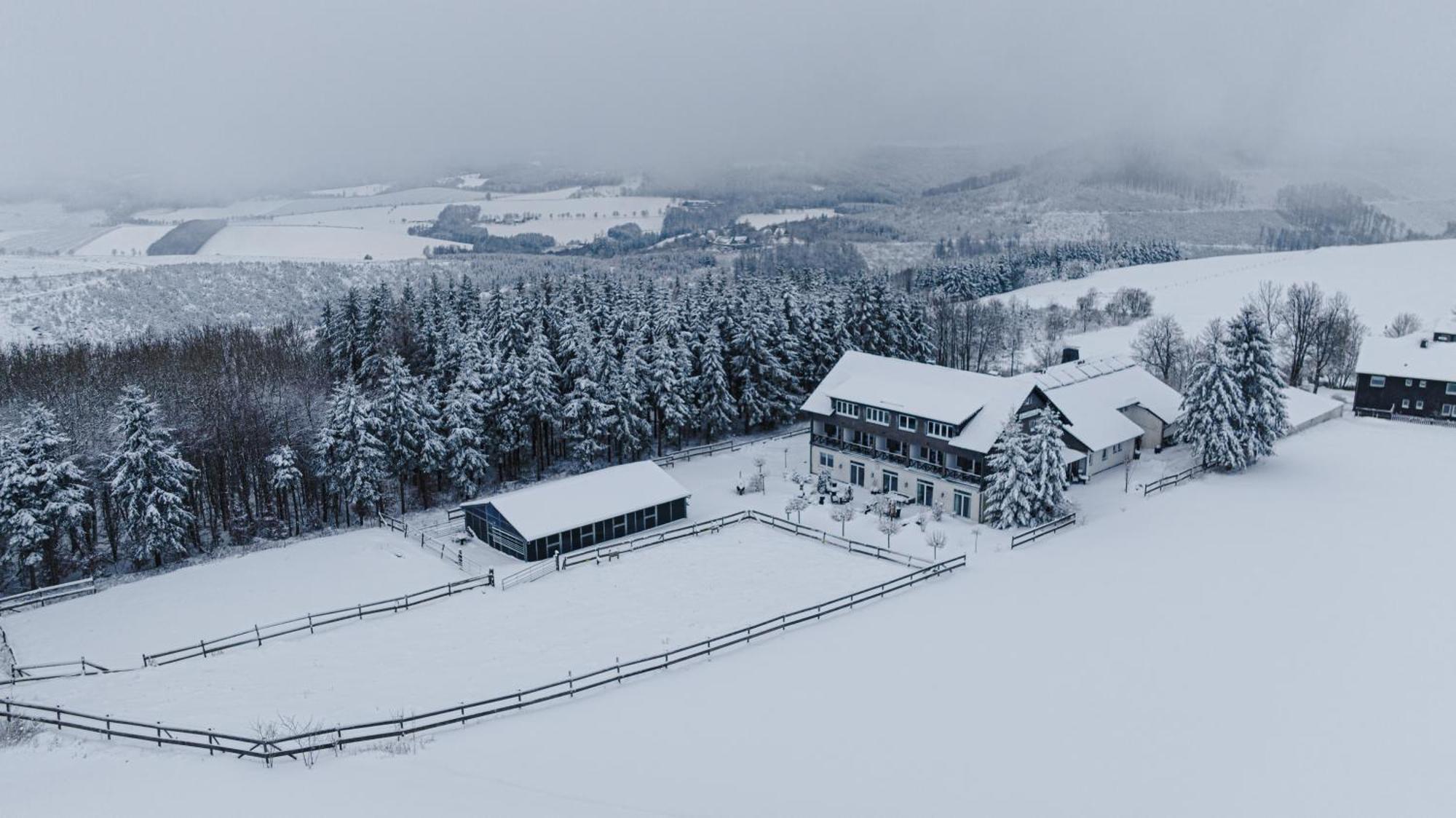 Landhotel Flora & Fauna (Adults Only) Winterberg Exteriér fotografie