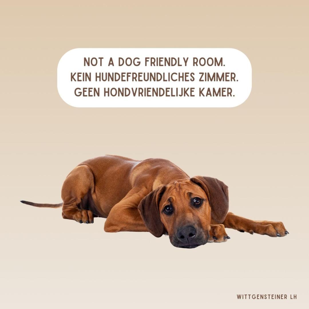 Landhotel Flora & Fauna (Adults Only) Winterberg Pokoj fotografie